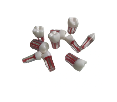 Dientes simuladores